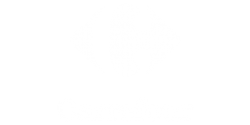 carrefour02